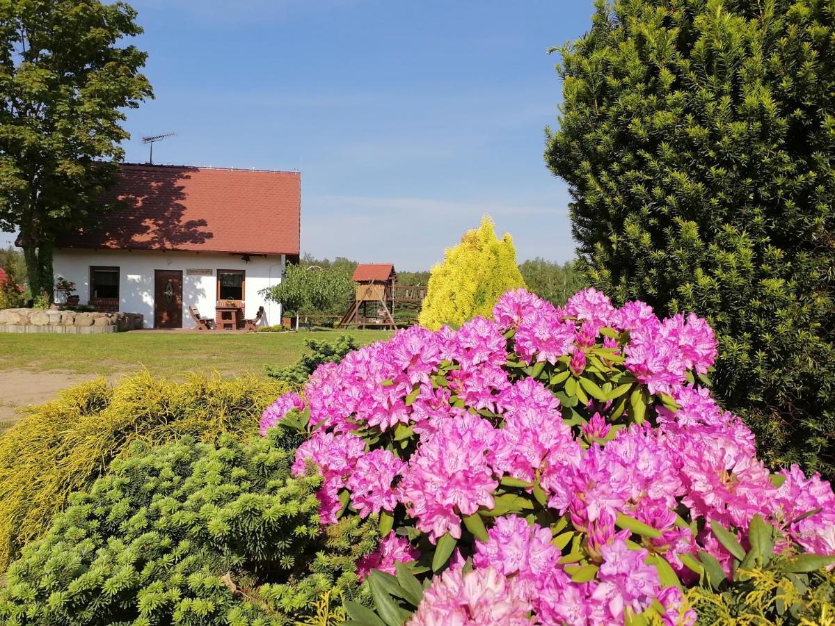 Domek Czerwony Kapturek Villa Plocice Buitenkant foto